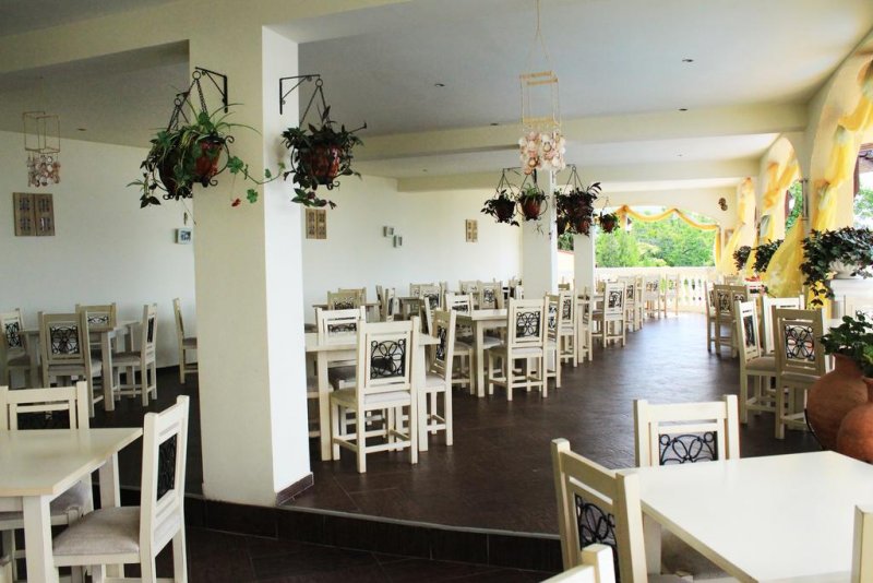 Вили Елените - Снимка 1