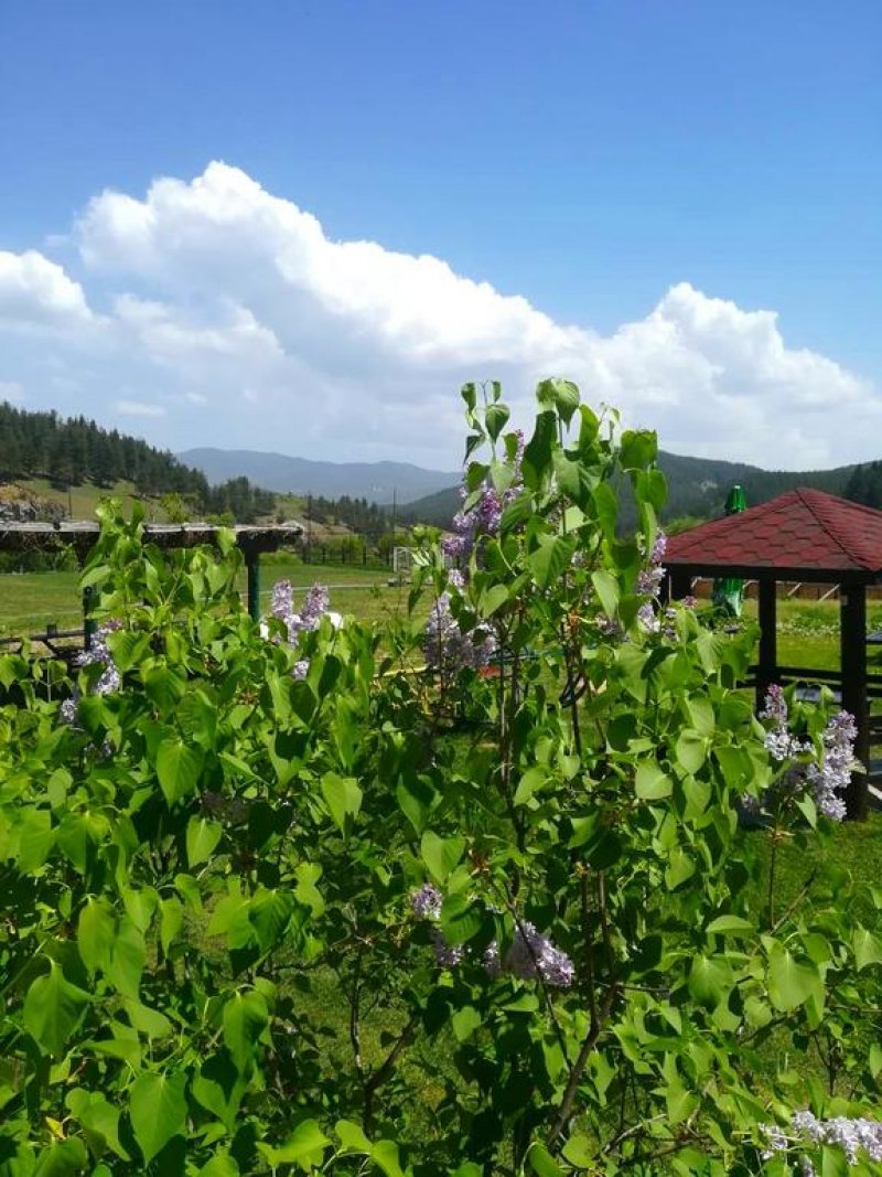 Хотел Орбел СПА - Снимка 2