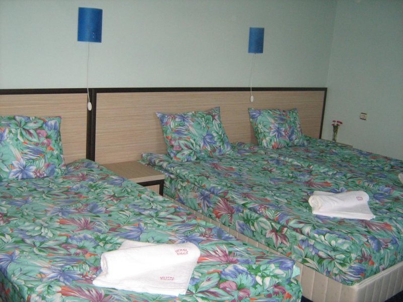 Хотел Емали Грийн - Снимка 5