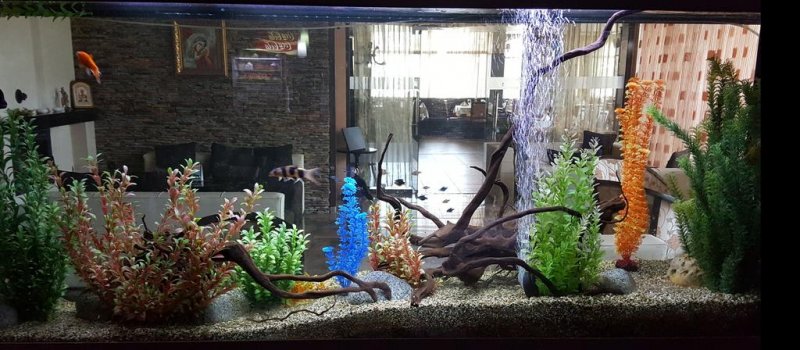 Спа Хотел Алегра - Снимка 2