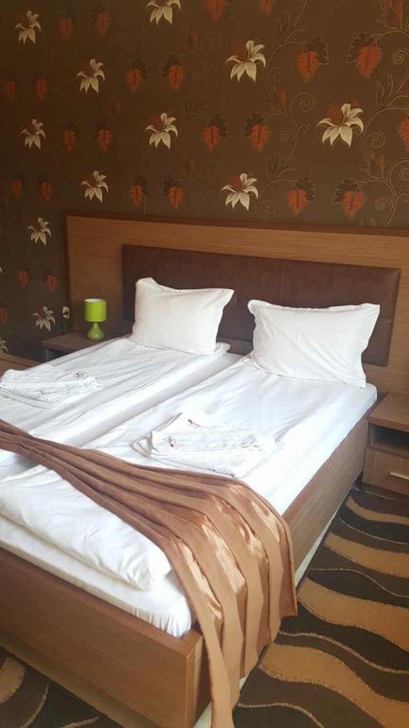 Спа Хотел Алегра - Снимка 3