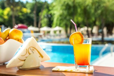 Хотел Виа Понтика - Снимка 5