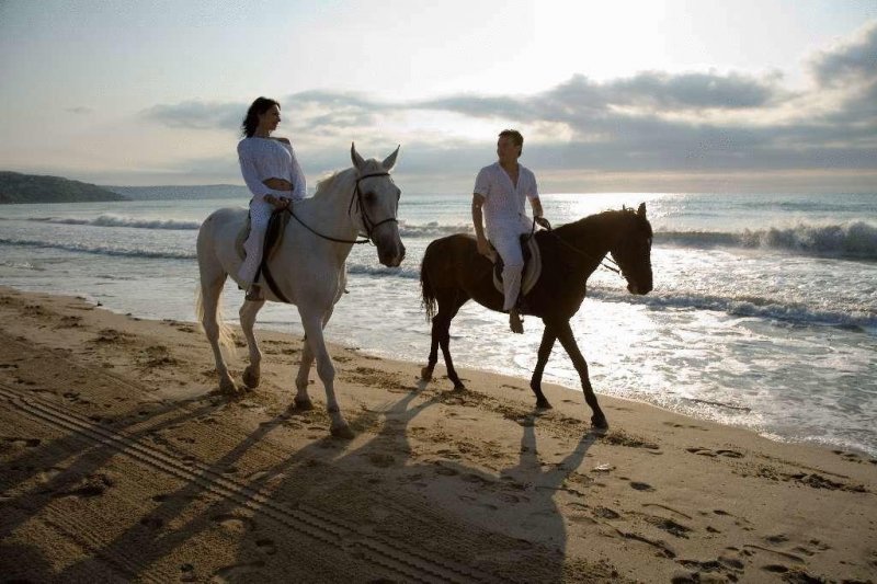 Хотел Магнолия - Снимка 5