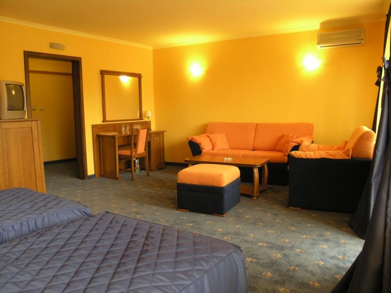 Хотел Троян Плаза - Снимка 4