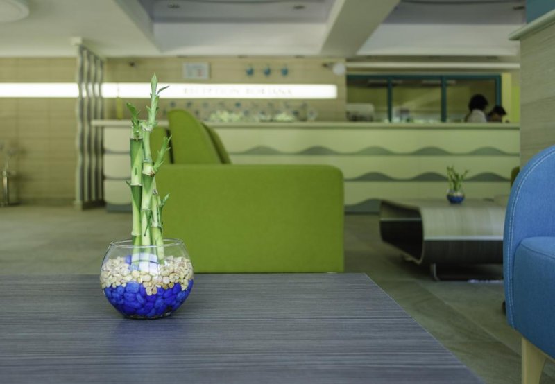 Хотел Боряна - Снимка 10