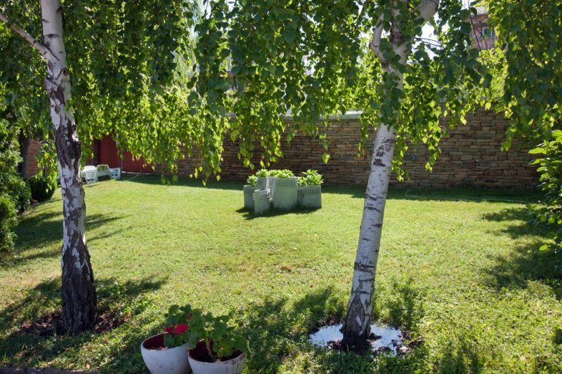 Мерлин Александрия Клуб - Снимка 1