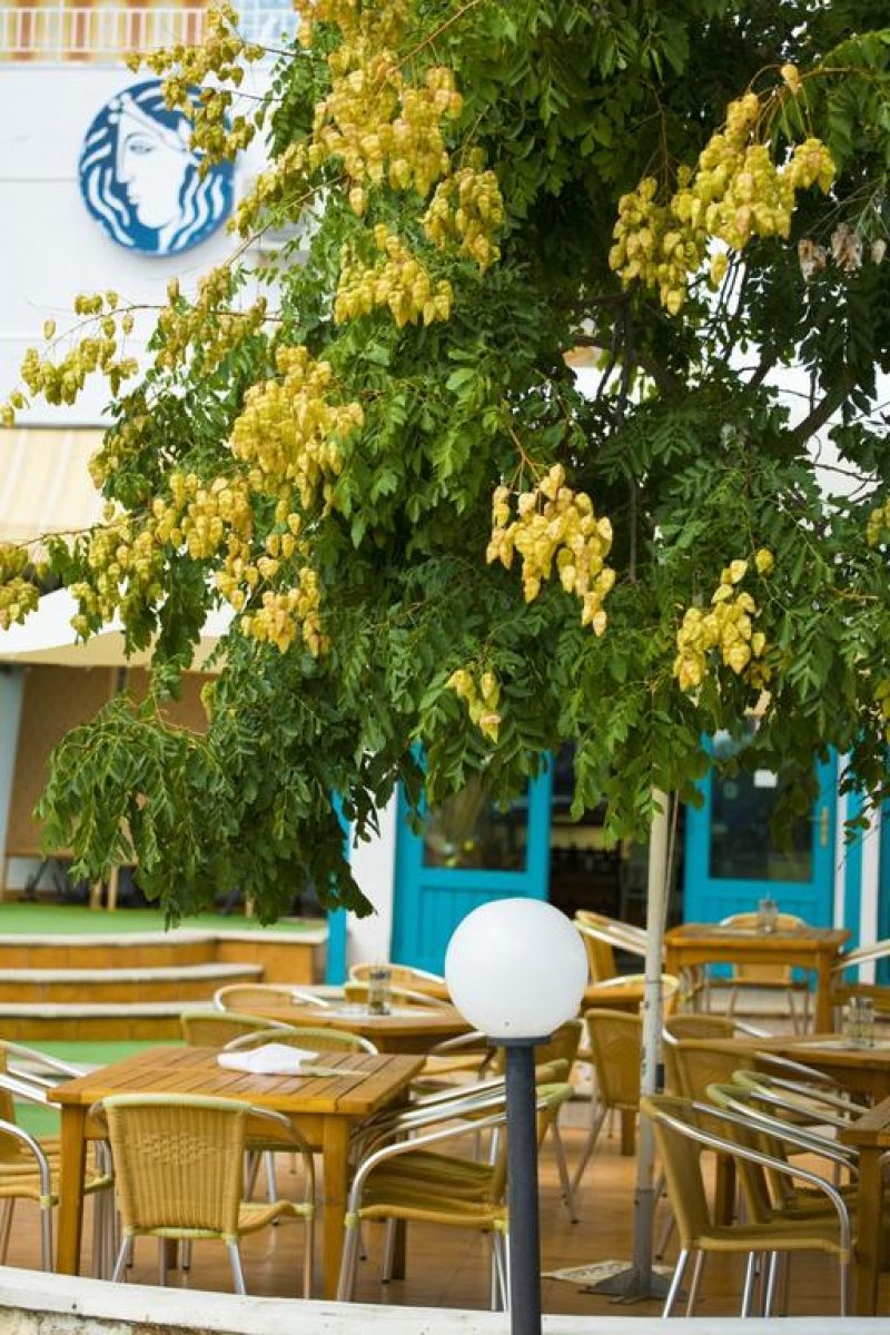 Хотел Калиопа - Снимка 7