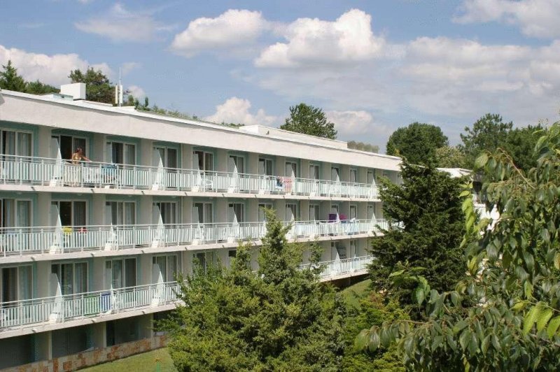 Хотел Орхидея - Снимка 4