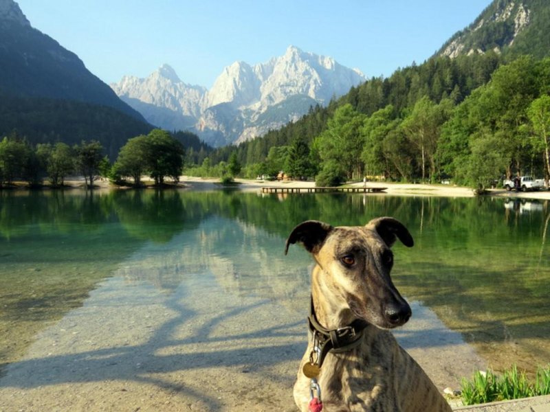 Ramada Resort Kranjska Gora - Снимка 11