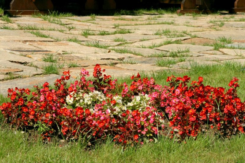 Хотел Планината - Снимка 11