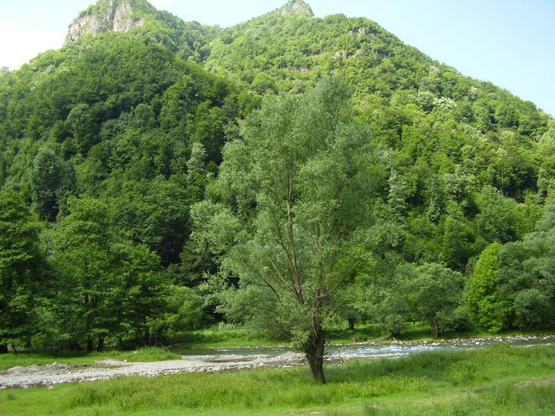 Хотел Планината - Снимка 7