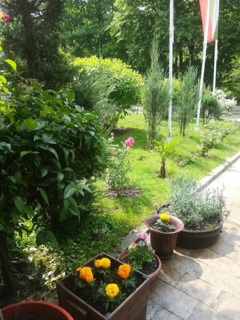 Хотел Елли Греко - Снимка 5