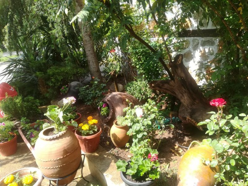 Хотел Елли Греко - Снимка 9