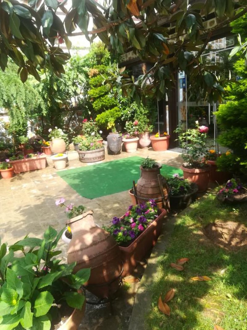 Хотел Елли Греко - Снимка 4