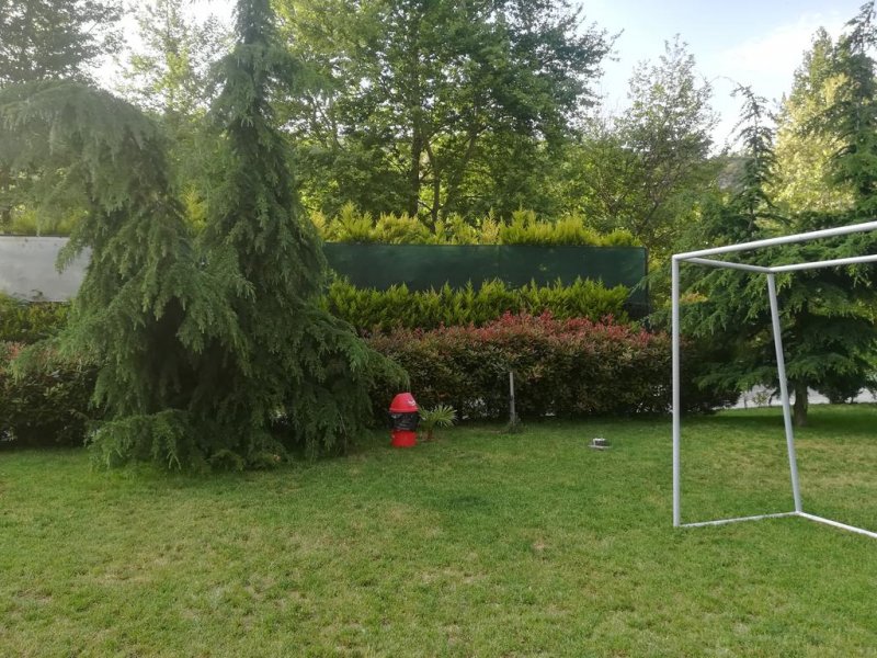 Хотел Елли Греко - Снимка 3