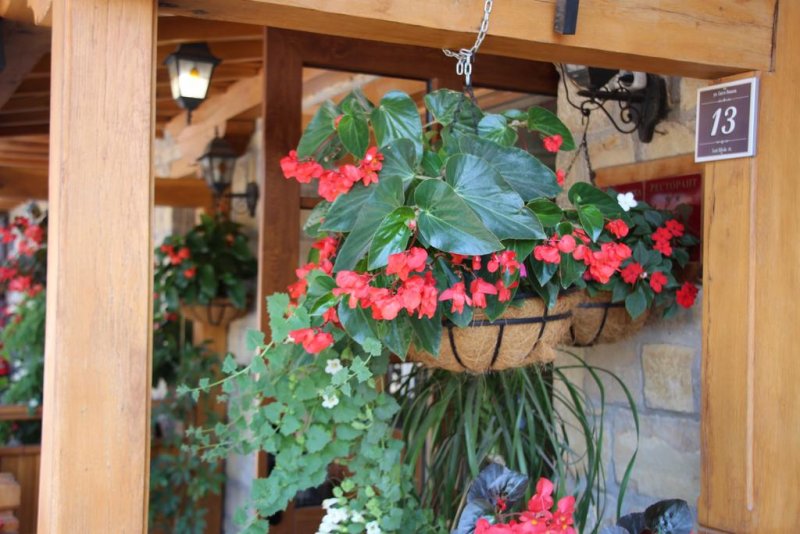 Хотел Севастократор - Снимка 1