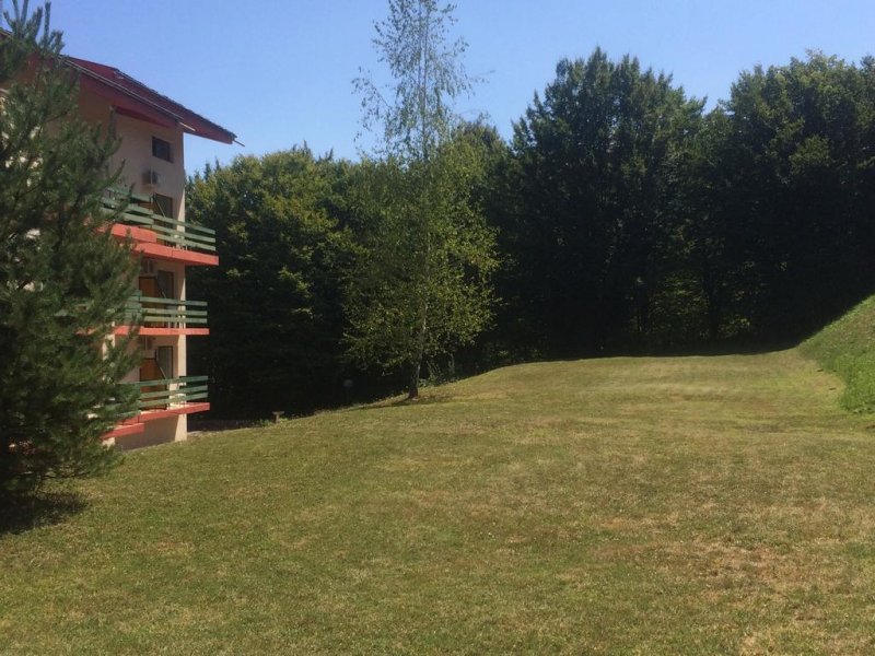 Парк Хотел Рибарица - Снимка 8