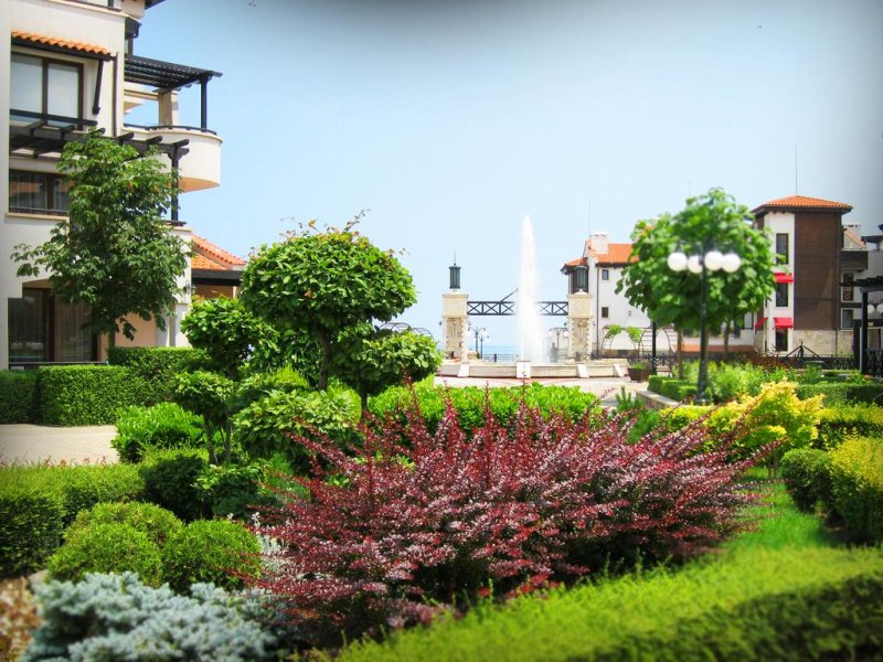 Оазис Резорт & СПА - Снимка 7