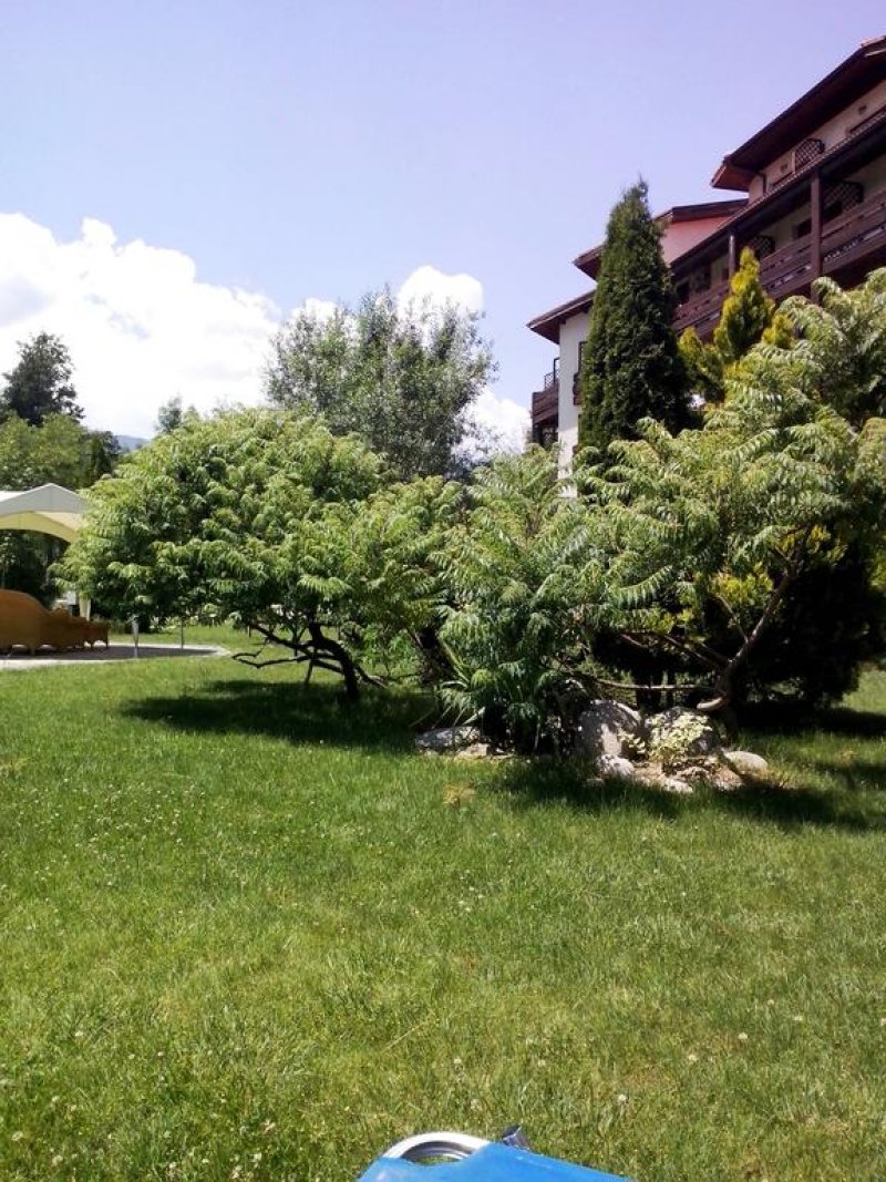 Хотел Орфей - Снимка 1