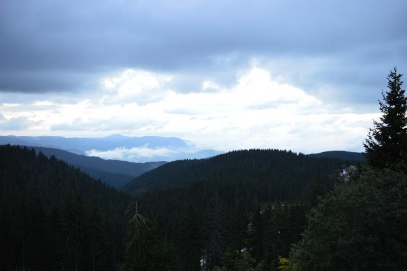 Апартхотел Pine Hills - Снимка 3