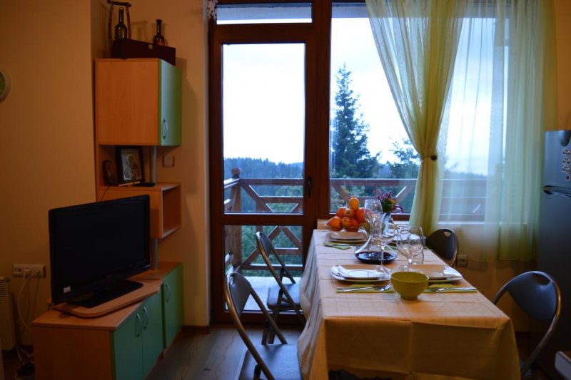 Апартхотел Pine Hills - Снимка 10