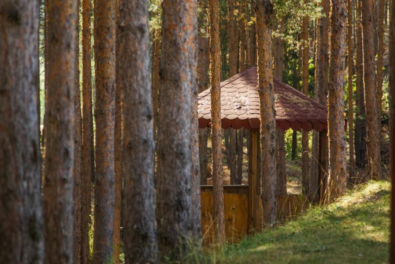 Хотел Зора - Снимка 2