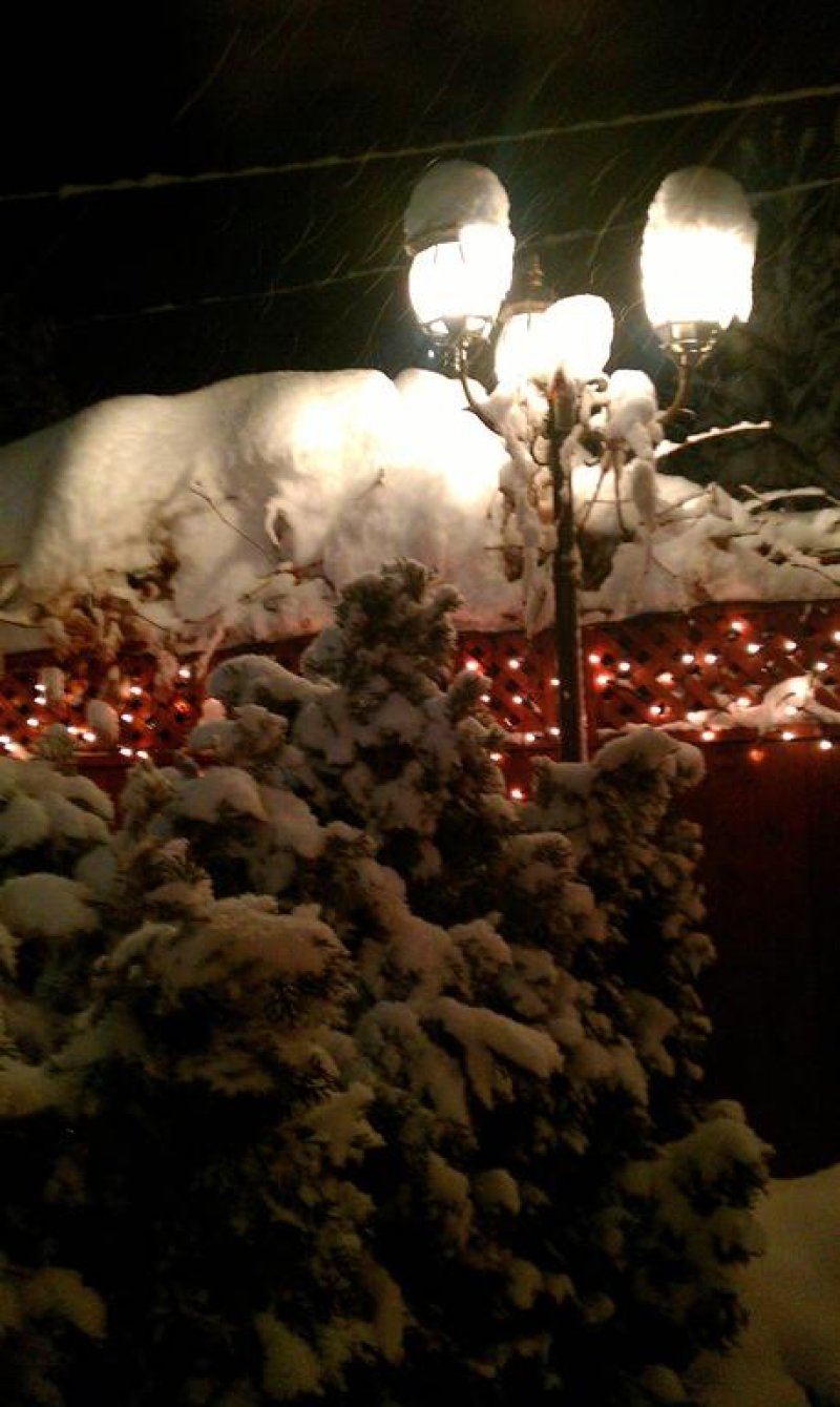 Аквилон Резиденс & СПА - Снимка 9