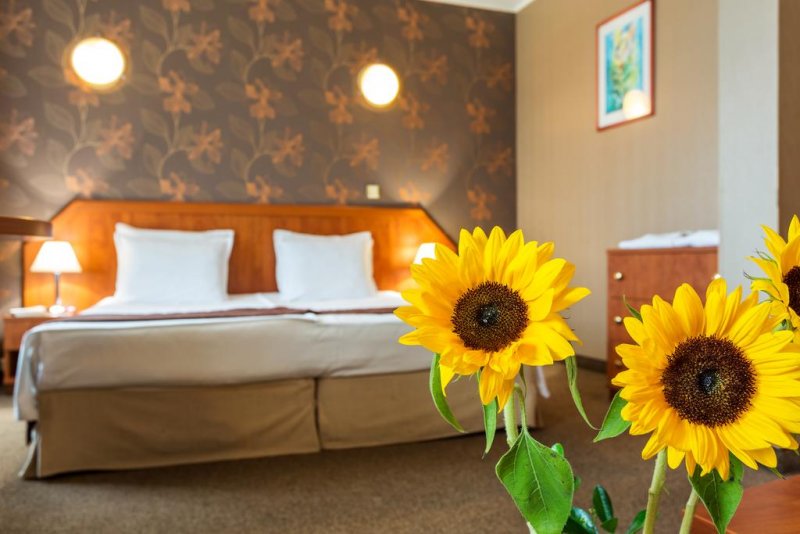 Спа хотел Олимп - Снимка 10