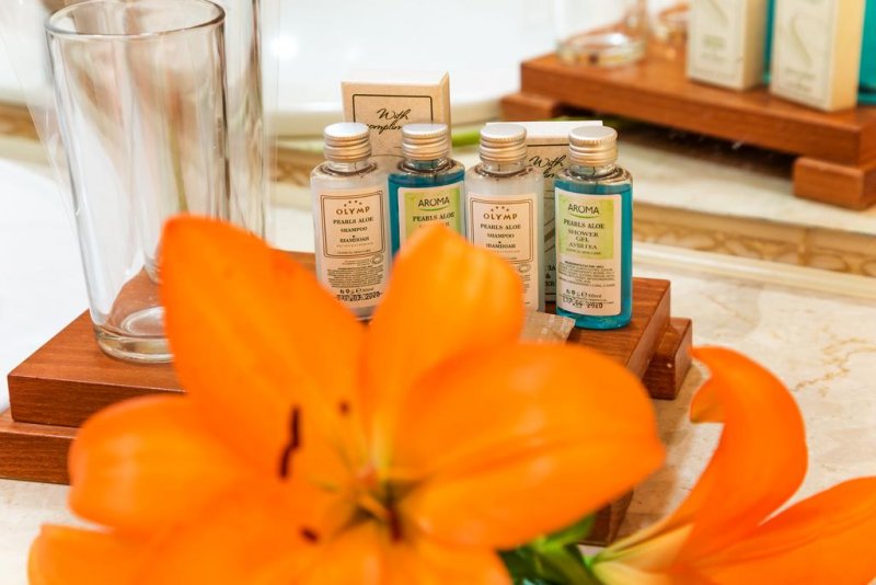 Спа хотел Олимп - Снимка 8