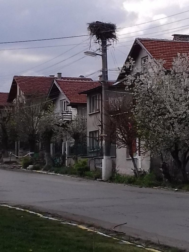 Хотел Никол - Снимка 10