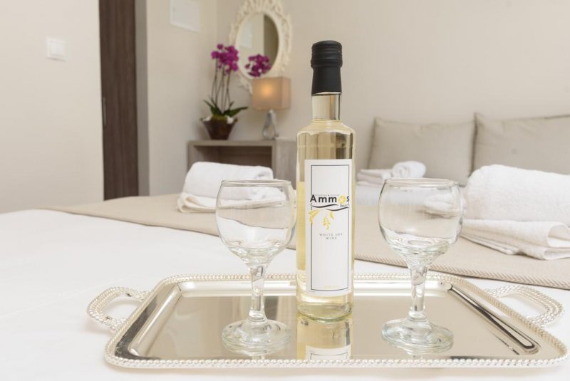 Ammos Beach Studios and Suites - Снимка 2