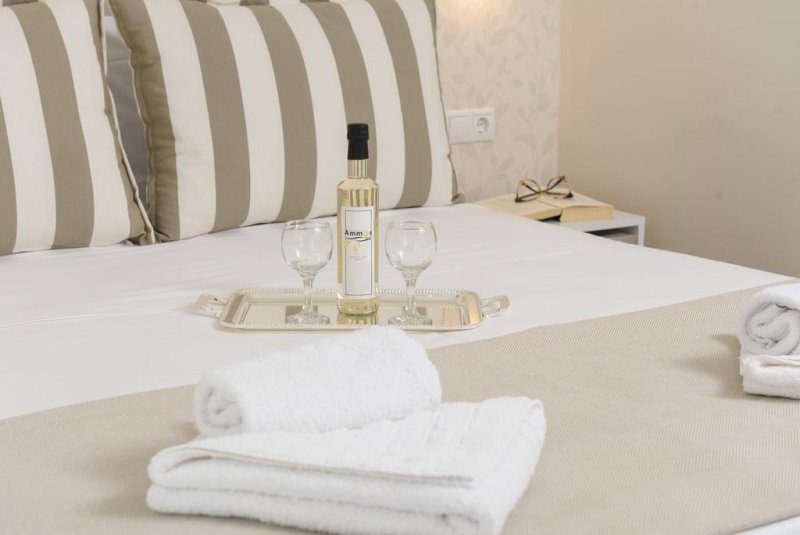 Ammos Beach Studios and Suites - Снимка 5