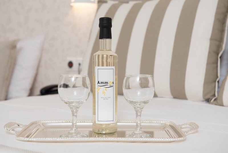 Ammos Beach Studios and Suites - Снимка 7