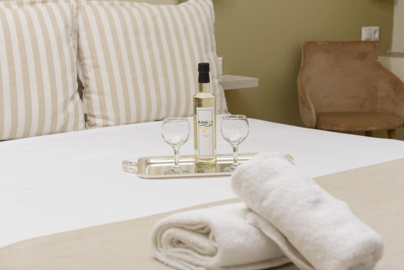 Ammos Beach Studios and Suites - Снимка 10