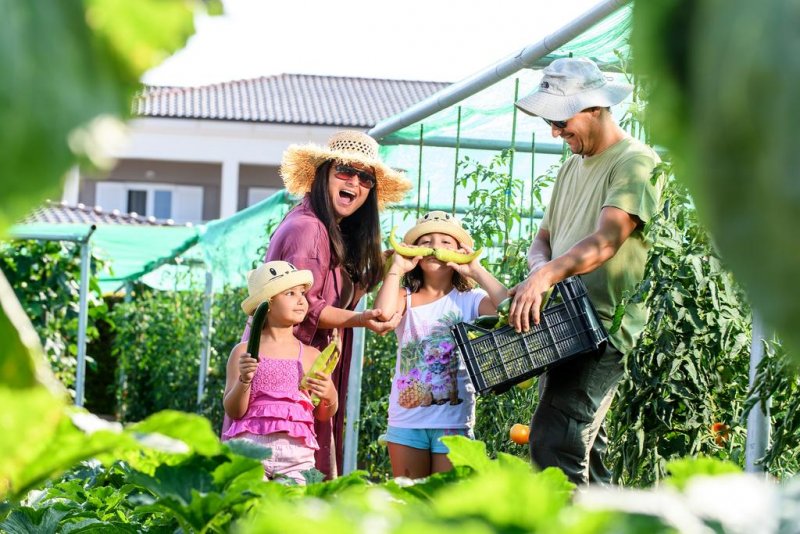 Alexandra Beach Spa Resort - Снимка 2