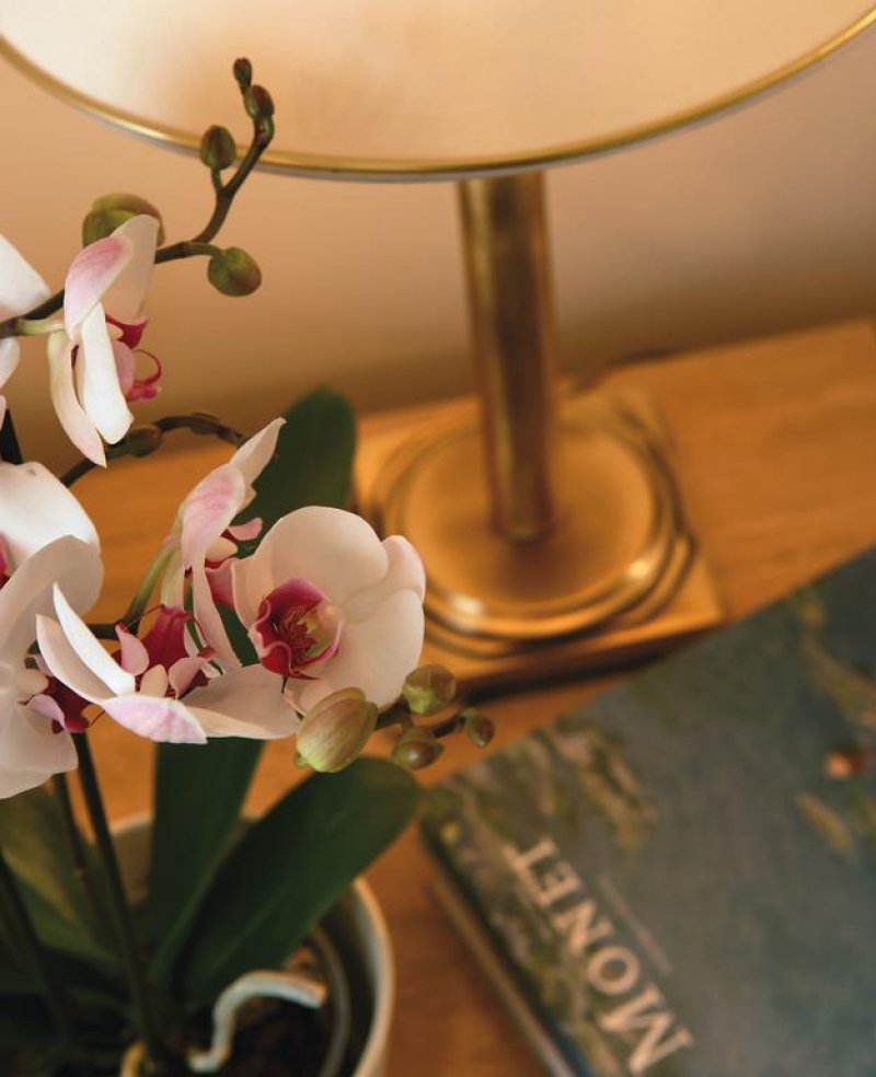 Sani Beach Hotel & Spa - Снимка 7