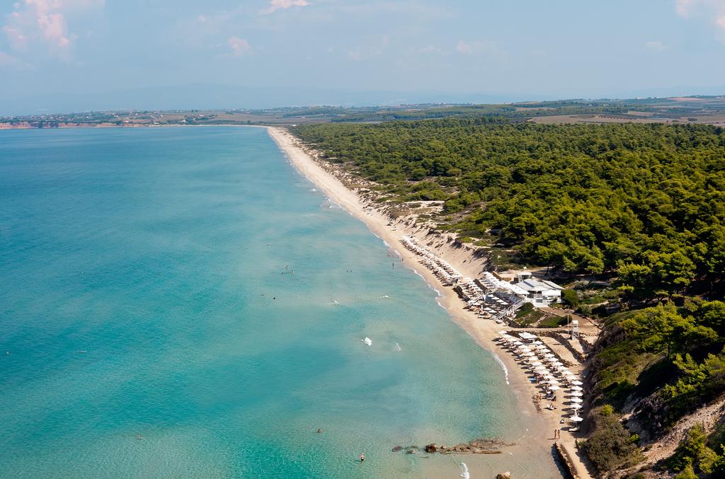 Ранни резервации: 5 нощувки със закуски и вечери в Sani Beach Hotel & SPA 5*, Халкидики, Гърция през Май! - Снимка 5