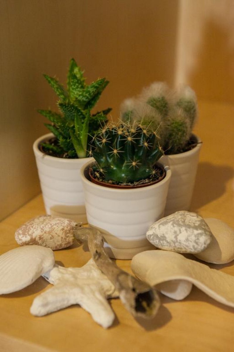 Kronos Hotel - Снимка 7