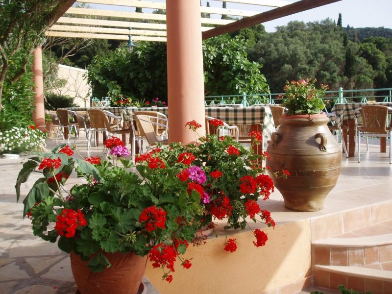 Blue Princess Hotel and Suites - Снимка 11