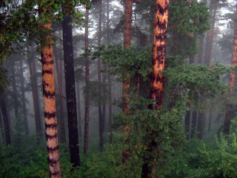 Семеен Хотел Искър - Снимка 2