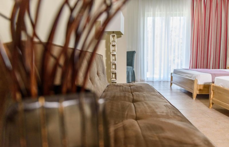 Alkion Hotel - Снимка 8