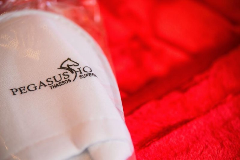 Pegasus Hotel - Снимка 5