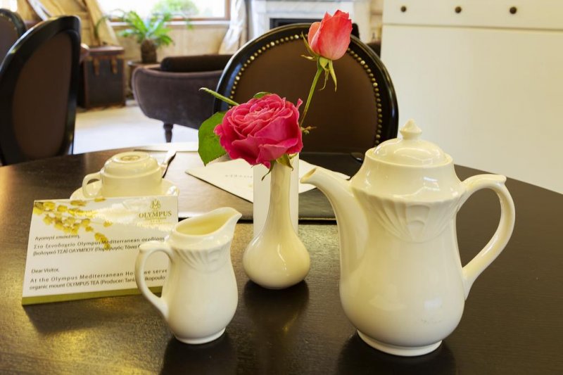 Mediterranean Olympus Hotel - Снимка 5