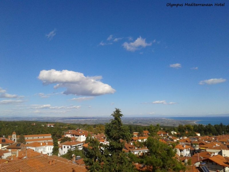Mediterranean Olympus Hotel - Снимка 1