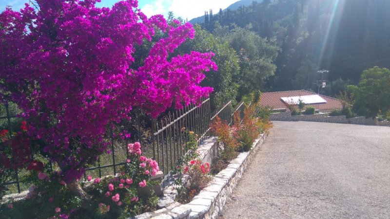 Santa Marina Hotel - Снимка 10