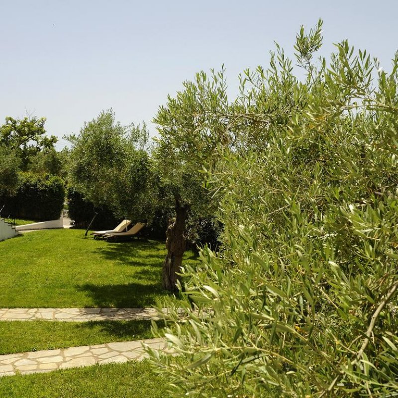 Trikorfo Beach - Снимка 9