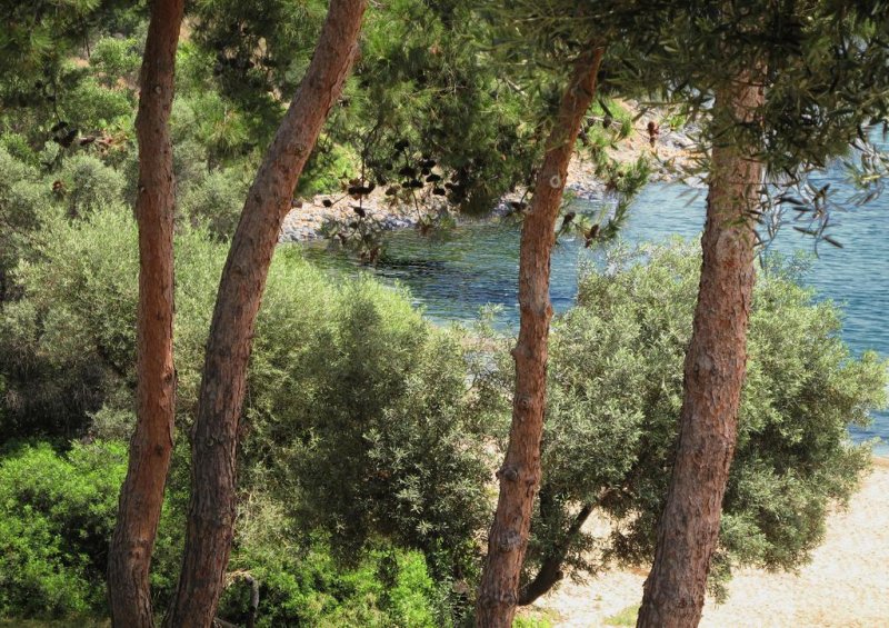 Trikorfo Beach - Снимка 10