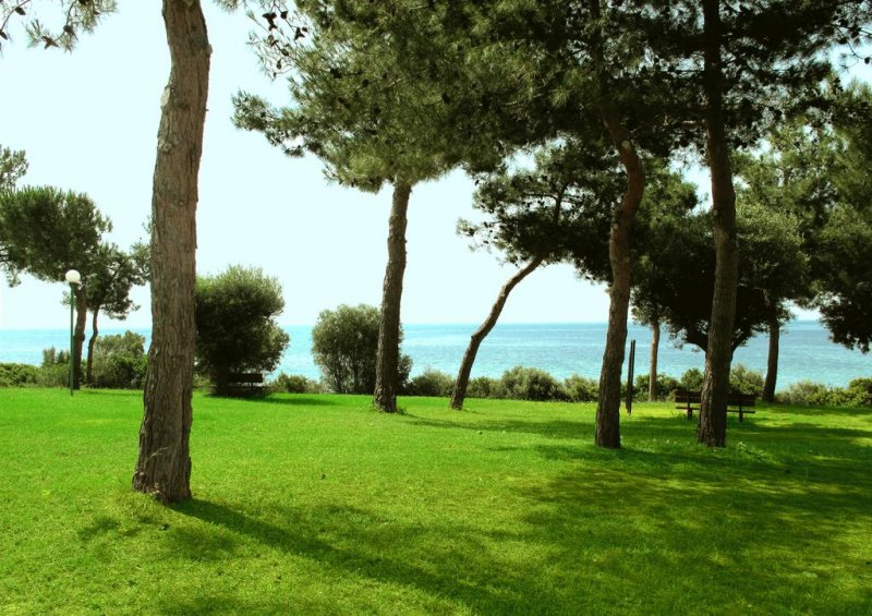 Trikorfo Beach - Снимка 5