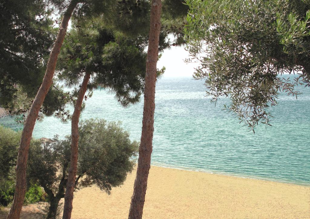 Ранни зписвания за ТОП сезон през 2020 на 1-ва линия в Геракини, Халкидики, Гърция! Нощувка в самостоятелна къщичка с капацитет от 4 до 6 човека от комплекс Trikorfo Beach - Снимка 27
