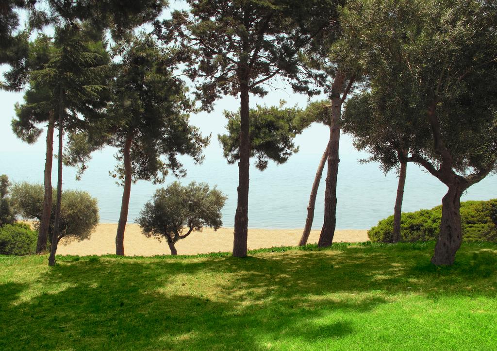 Ранни зписвания за ТОП сезон през 2020 на 1-ва линия в Геракини, Халкидики, Гърция! Нощувка в самостоятелна къщичка с капацитет от 4 до 6 човека от комплекс Trikorfo Beach - Снимка 21
